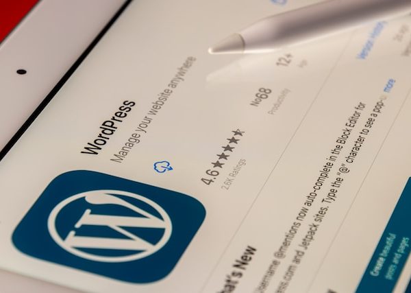 WordPress Management on iPad.